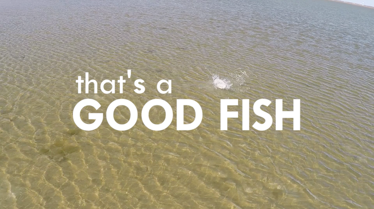 ActionHat presents: That's a Good Fish - Texas Skiff Sight Fishing ...